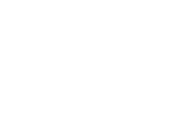 Arma2 Logo Icon